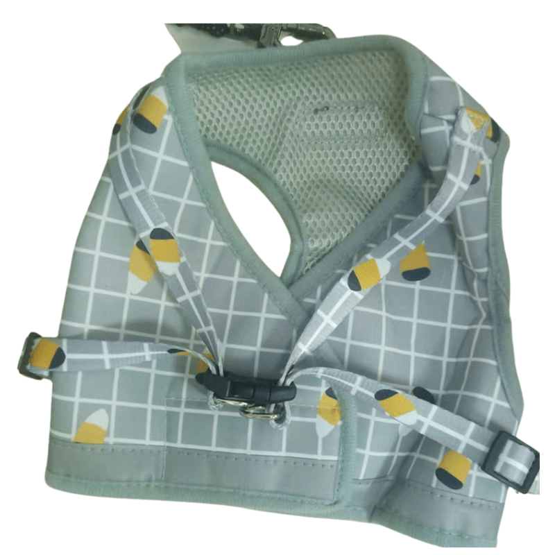 Skyddande reflekterande linne och bälteset för säker och stilfull promenad