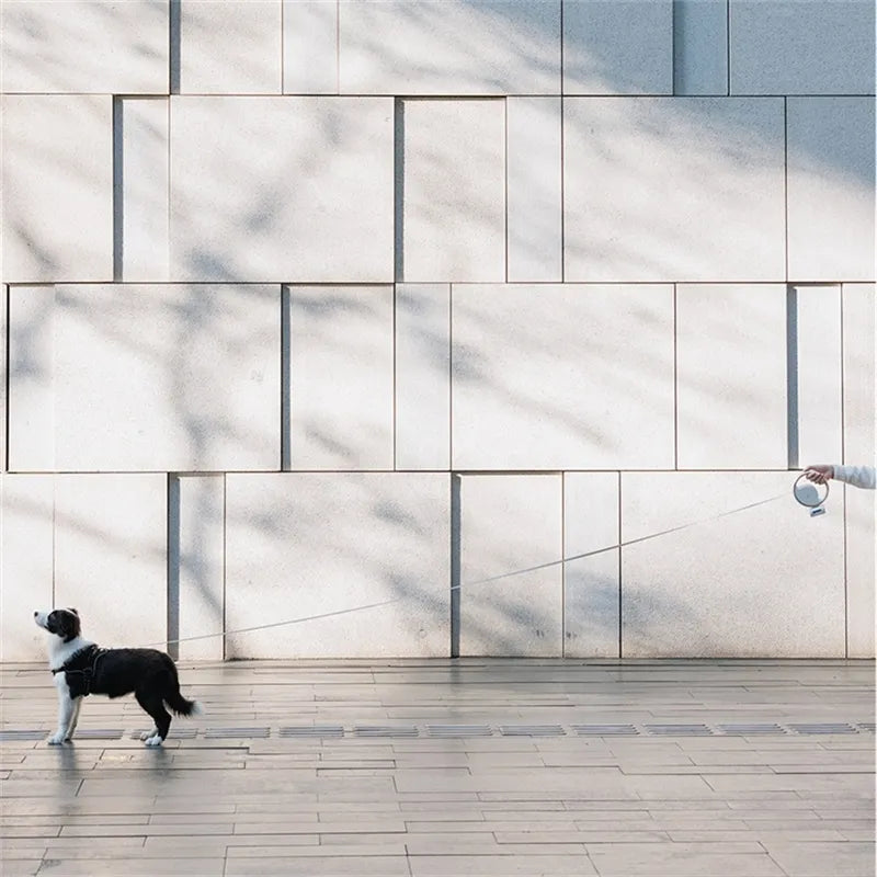 Förlängningsbar hundkoppel för ultimat kontroll och bekvämlighet