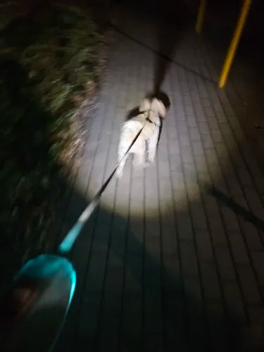 Ultimat hundsäkerhet: LED-belysning och 5m räckvidd för nattpromenader