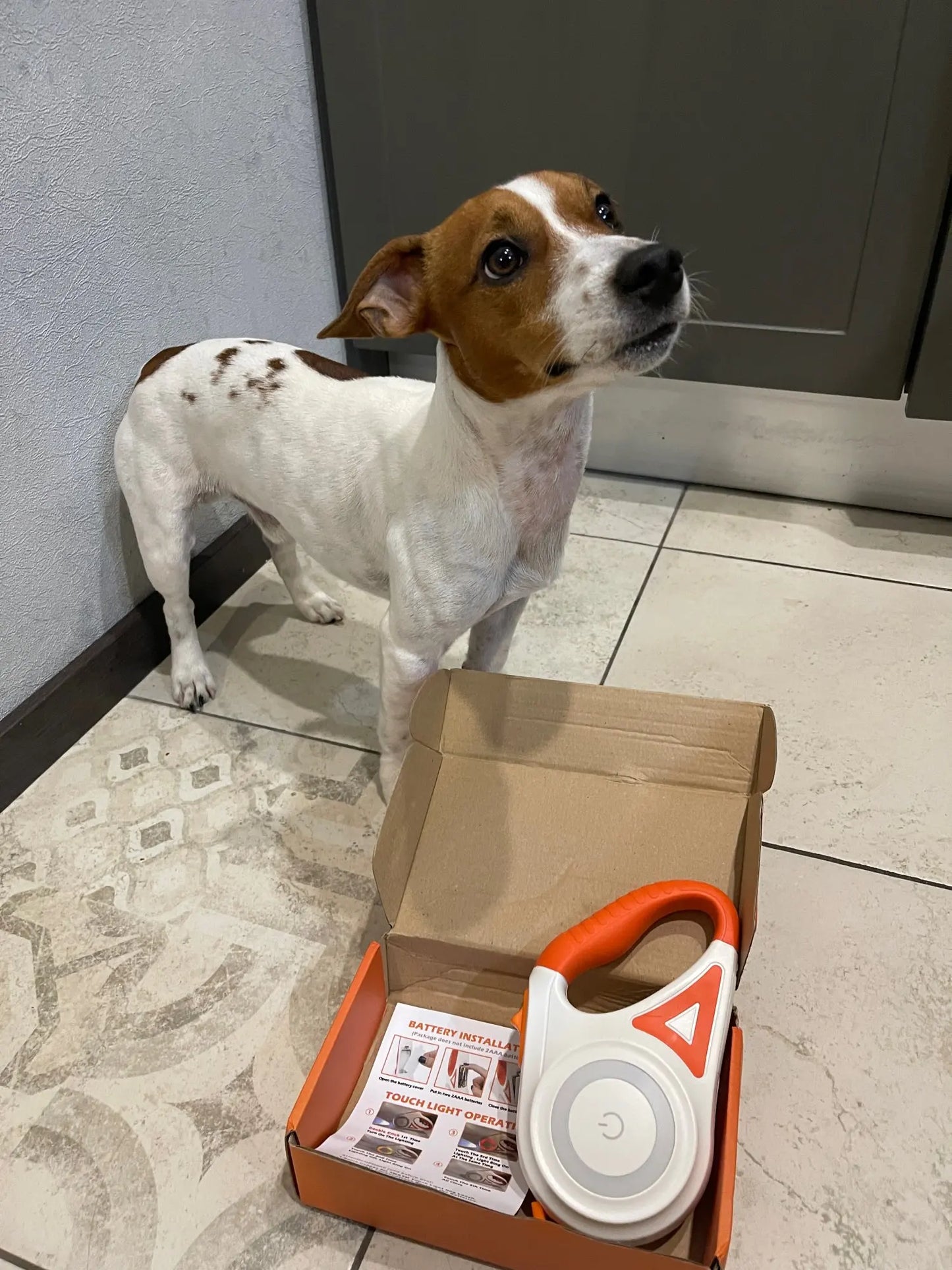 Ultimat hundsäkerhet: LED-belysning och 5m räckvidd för nattpromenader