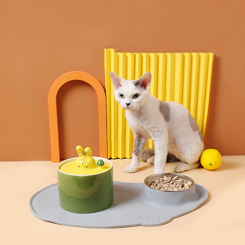 Stilren vattenautomat för en frisk och glad kanin