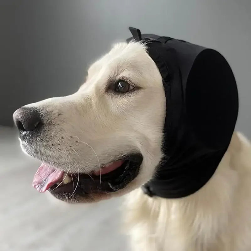 Öronskydd för hundar