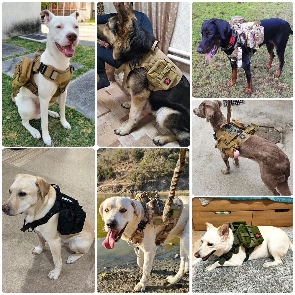 Bekväm taktisk hundsele med koppel för säker och stilfull promenad