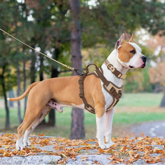 Luxe justerbart hundsele för små och stora raser