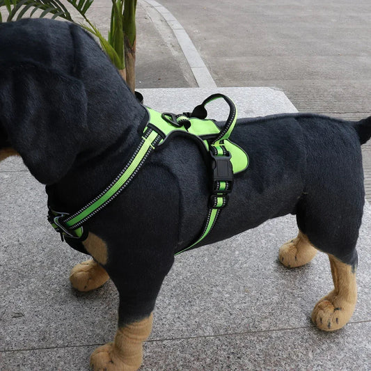 Justerbar nylonsele för hund för komfort och säkerhet