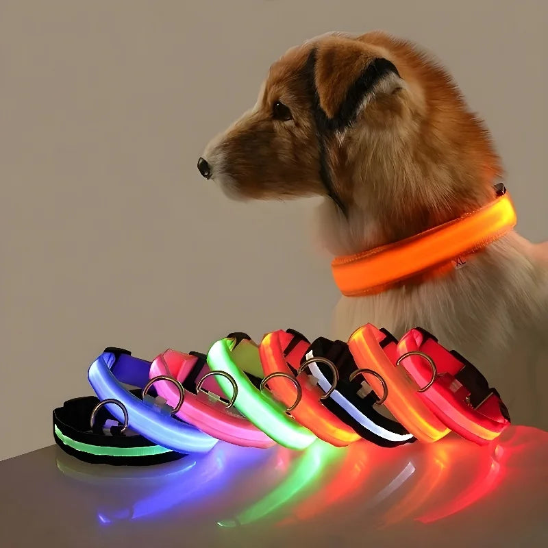 Luxe LED-hundhalsband för ultimat nattsäkerhet