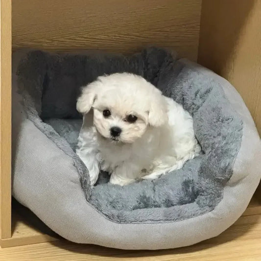 Bekväm varm hund- och kattbädd