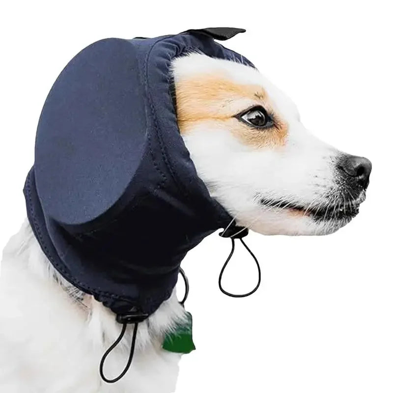Öronskydd för hundar