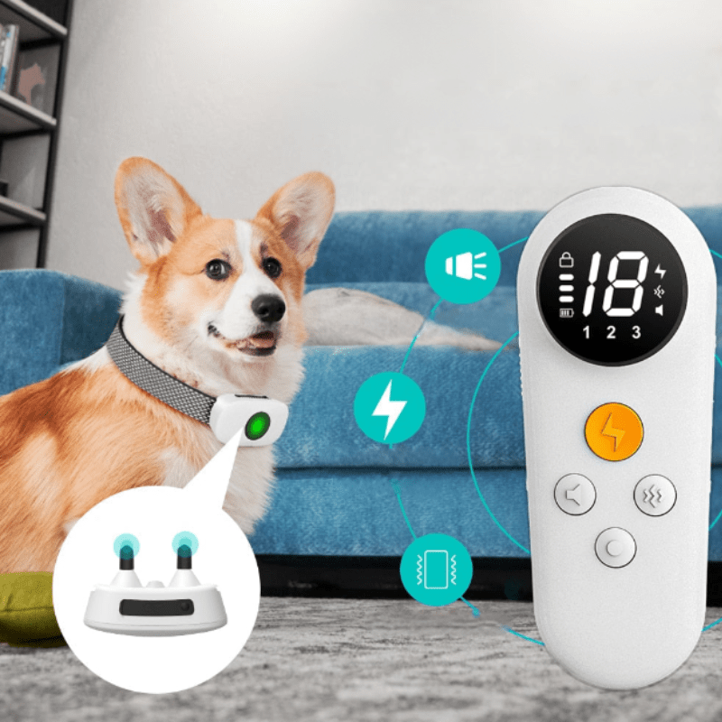 Ultimat anti-skällanordning för lugn i hemmet