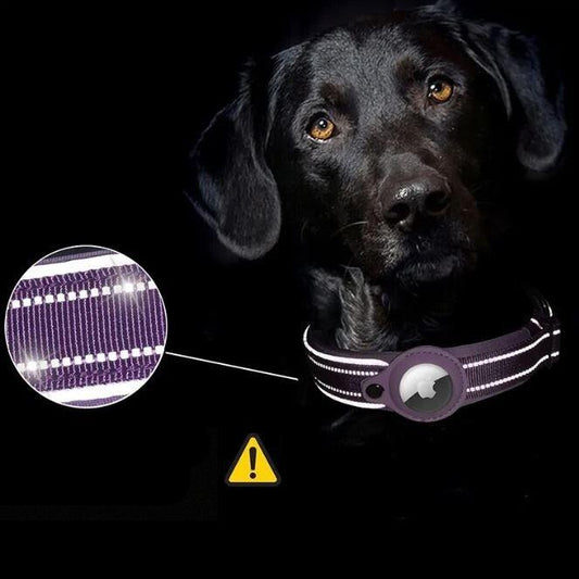 Ultra-säker och bekväm halsband för husdjur för ultimat skydd