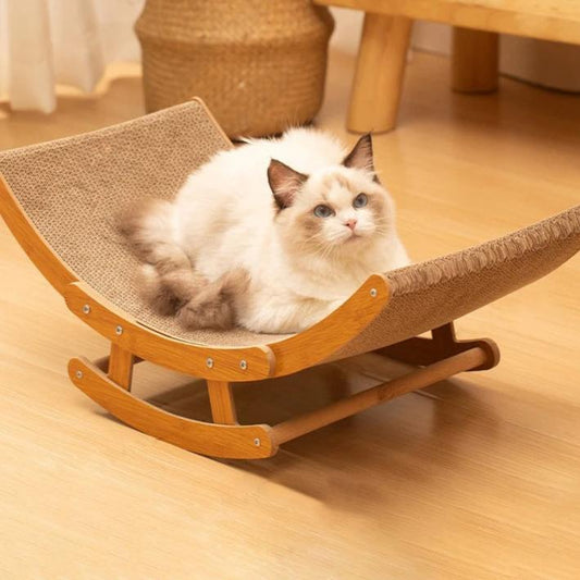 Kloliknande katt