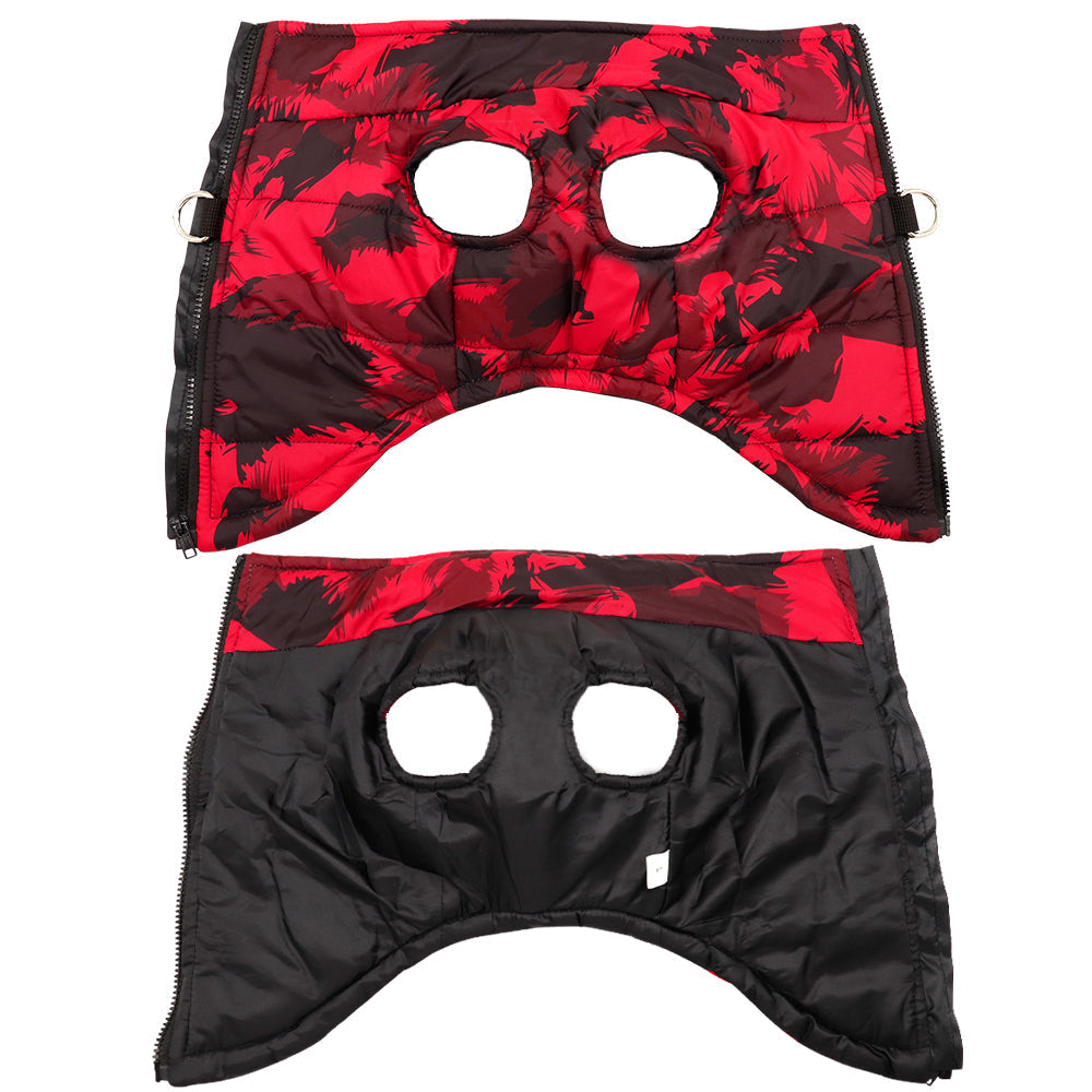 Stilfull och mysig vinterkomfort för husdjur