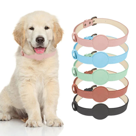 Stilfullt hundhalsband med inbyggd Airtag-hållare för ultimat spårning