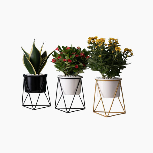 Elegant keramikkruka med järnställning - Modern kruka för luftplantor och suckulenter