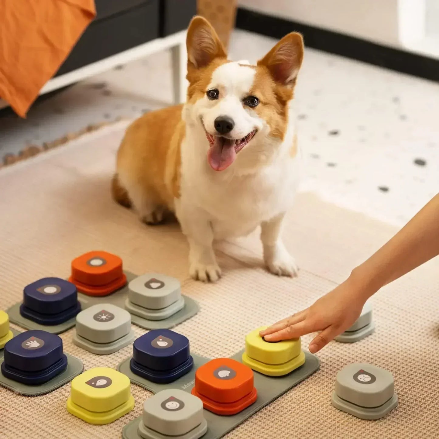 Animerad knappuppsättning för bättre interaktiv kommunikation med hundar