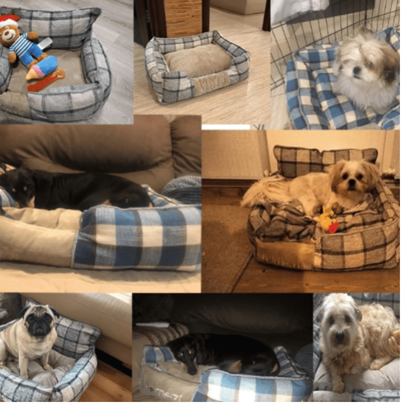 Ultimat bekväm bärbar hund- och kattbädd för varje säsong
