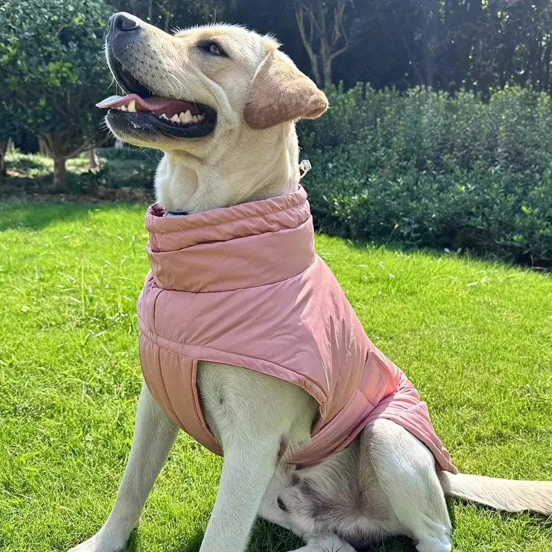 Optimal fotbeskydd för husdjur för ultimat komfort och säkerhet