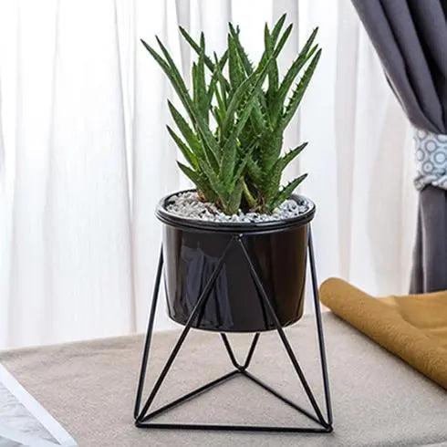 Elegant keramikkruka med järnställning - Modern kruka för luftplantor och suckulenter