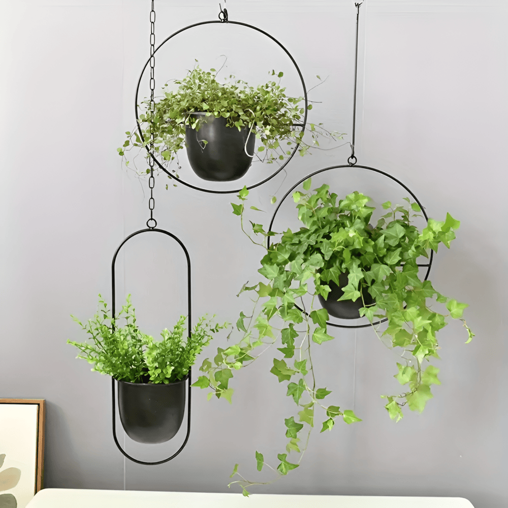 Caelessa - Snygg och elegant väggkruka för en modern inredning