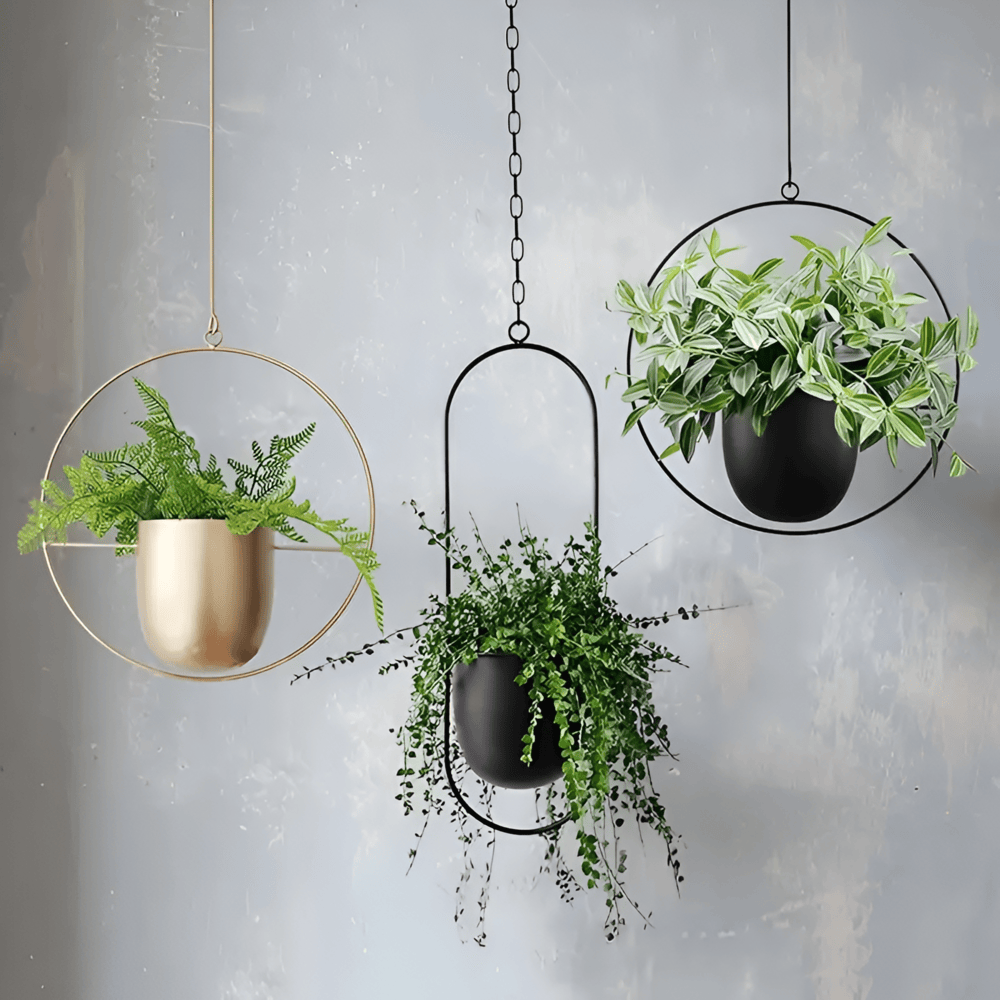 Caelessa - Snygg och elegant väggkruka för en modern inredning