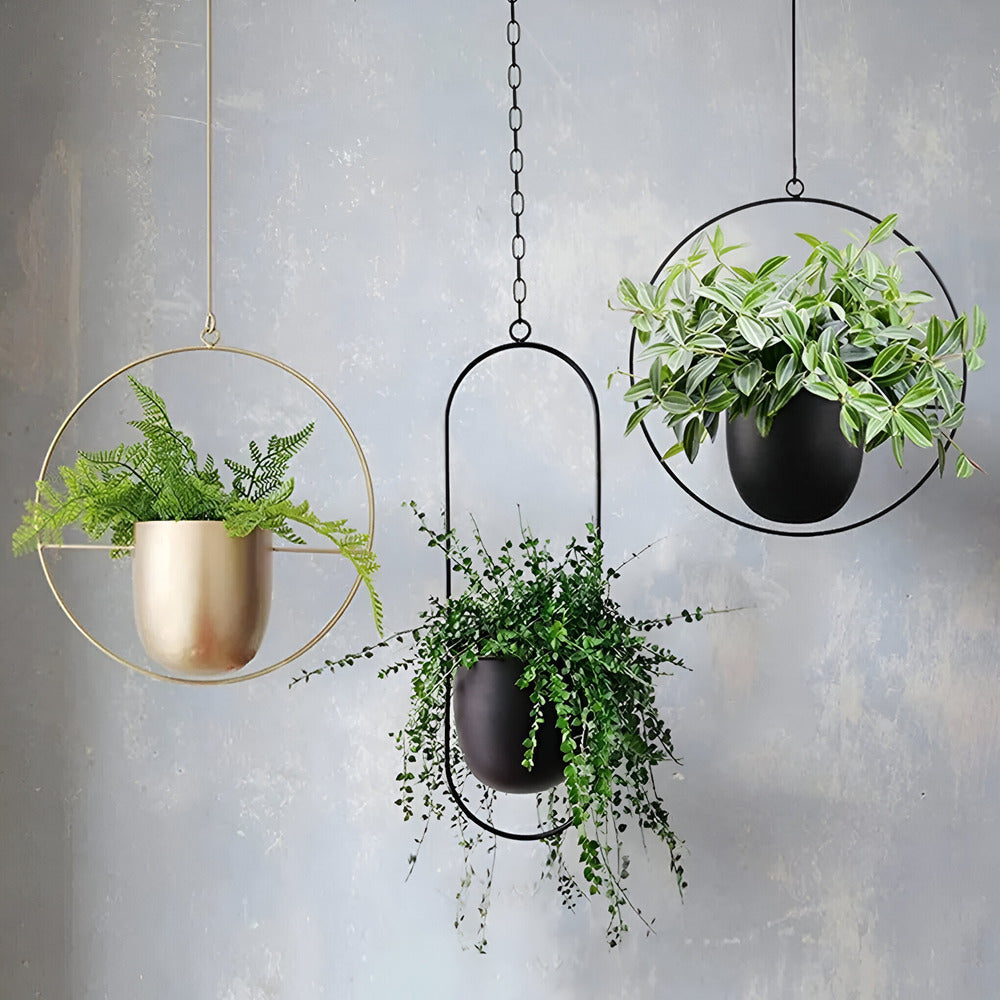 Caelessa - Snygg och elegant väggkruka för en modern inredning