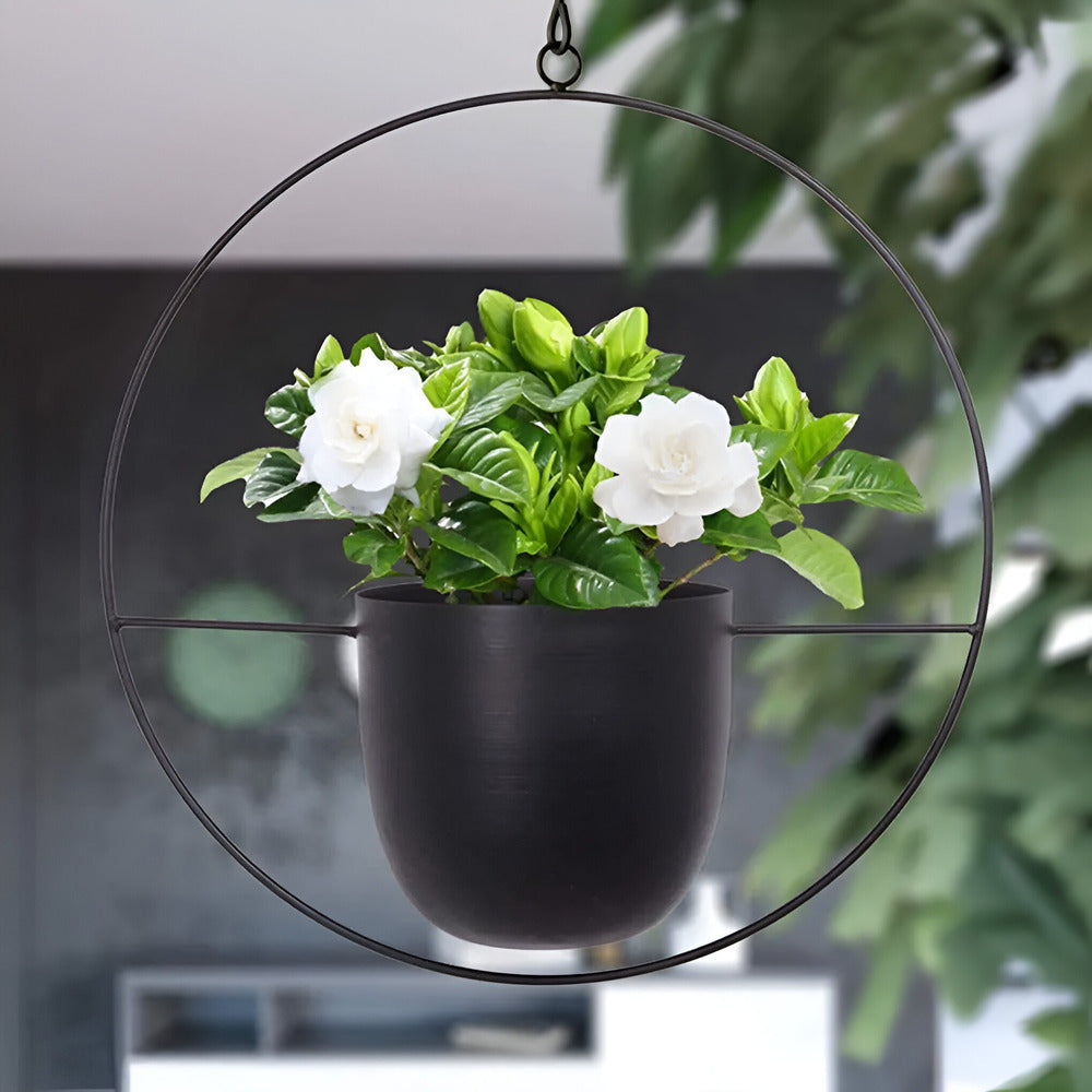 Caelessa - Snygg och elegant väggkruka för en modern inredning