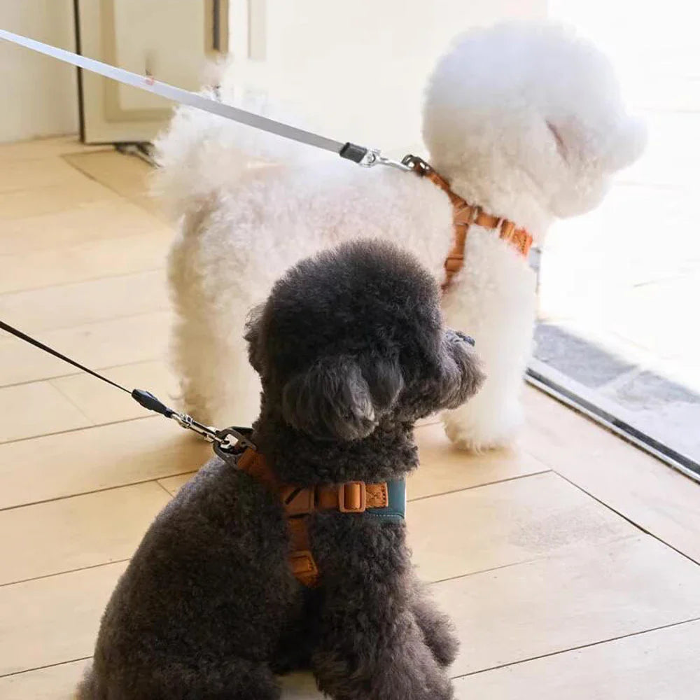 Söt och justerbar sele och rem för komfort och säkerhet