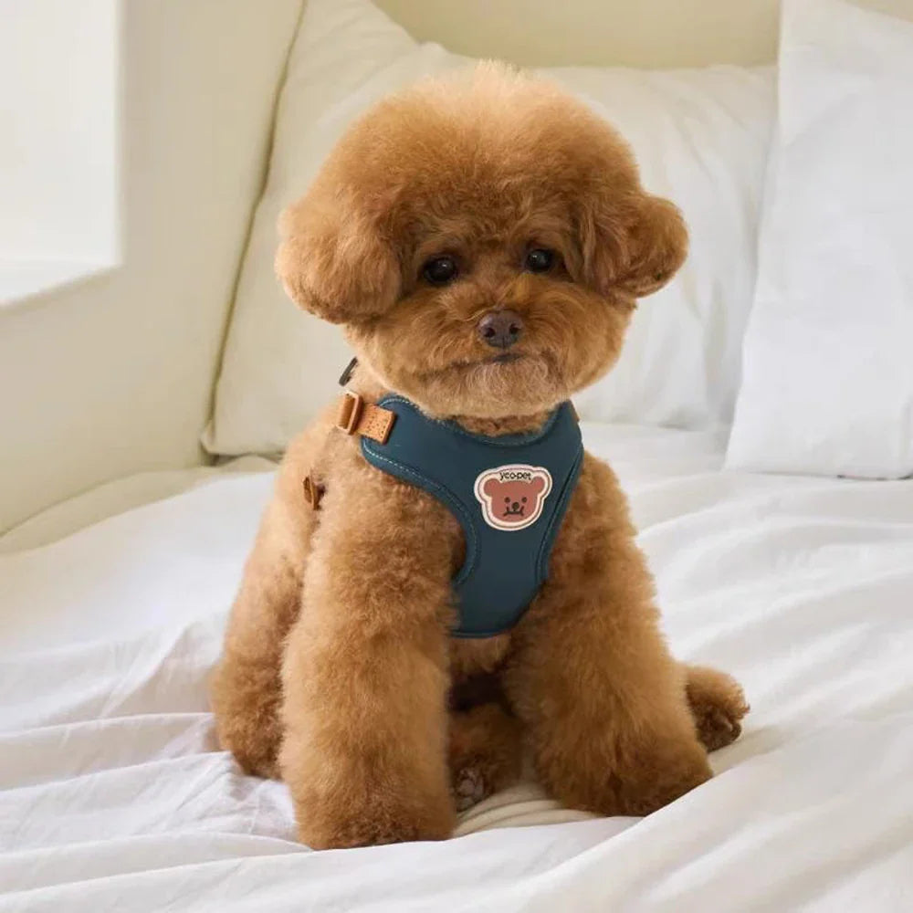 Söt och justerbar sele och rem för komfort och säkerhet