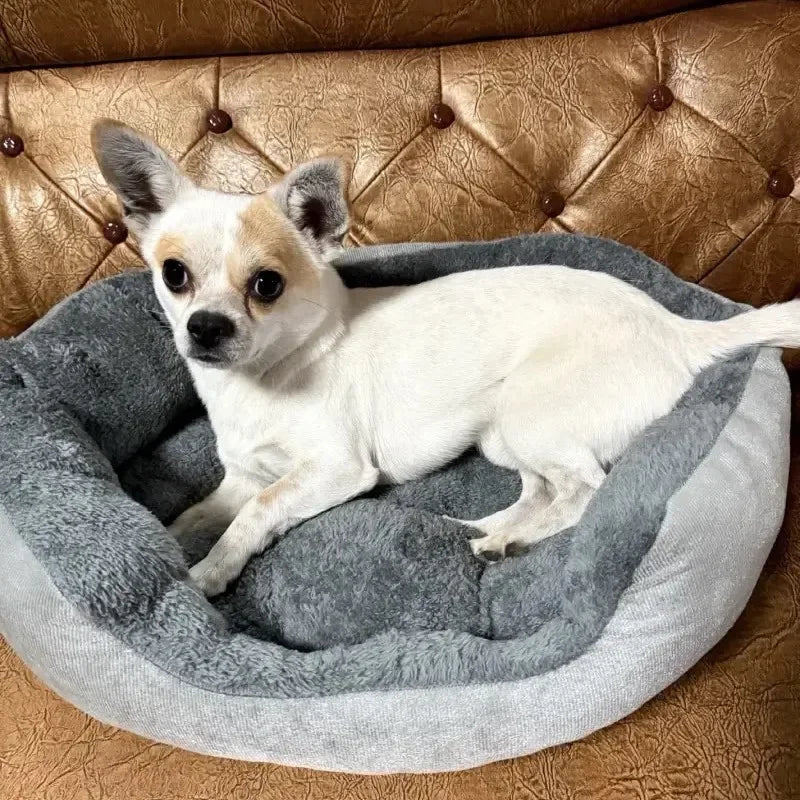 Bekväm varm hund- och kattbädd