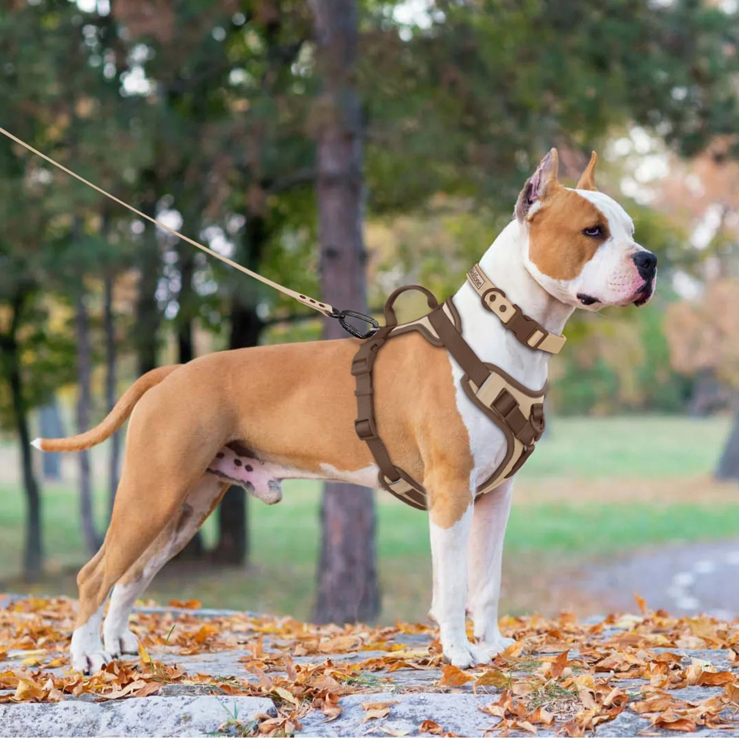 Luxe justerbart hundsele för små och stora raser