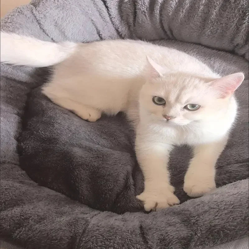 Bekväm varm hund- och kattbädd