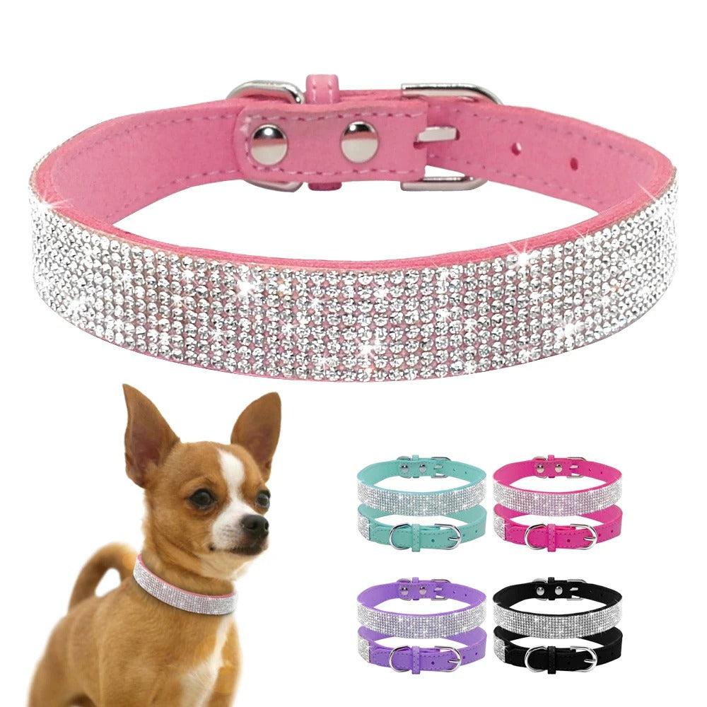 Glittrande armbandshalsband med paljetter för en glamorös look