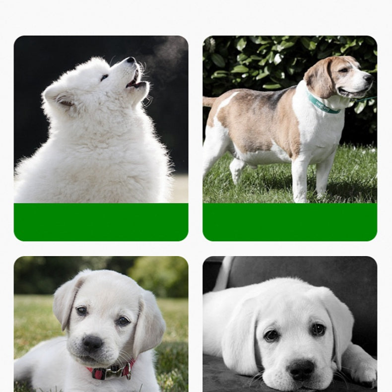 Bekväm och flexibel silikonmatta för matning för enkel måltidshantering